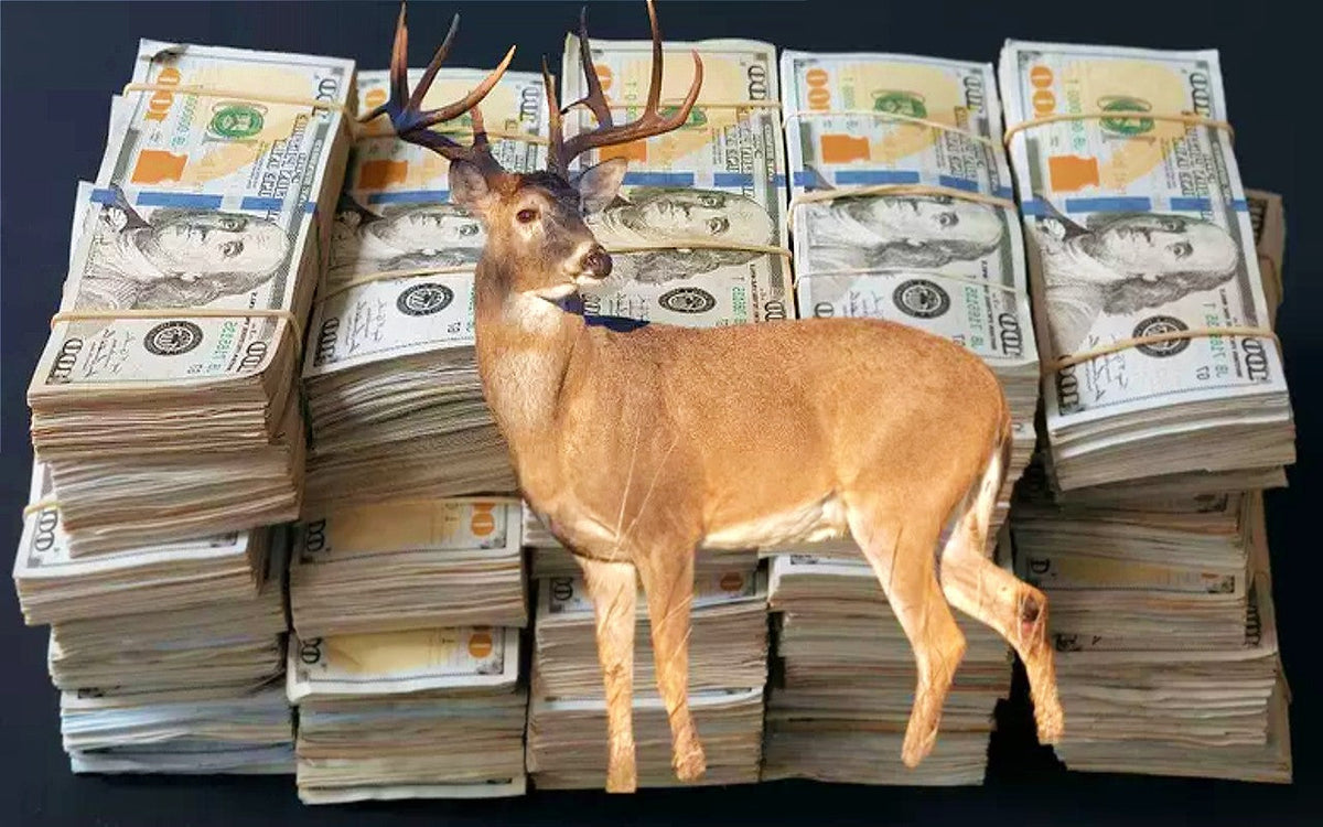 Impact of Hunting Tourism